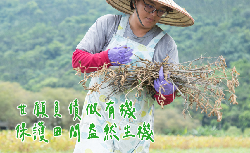 守護田間生機 負債也要種好有機大豆