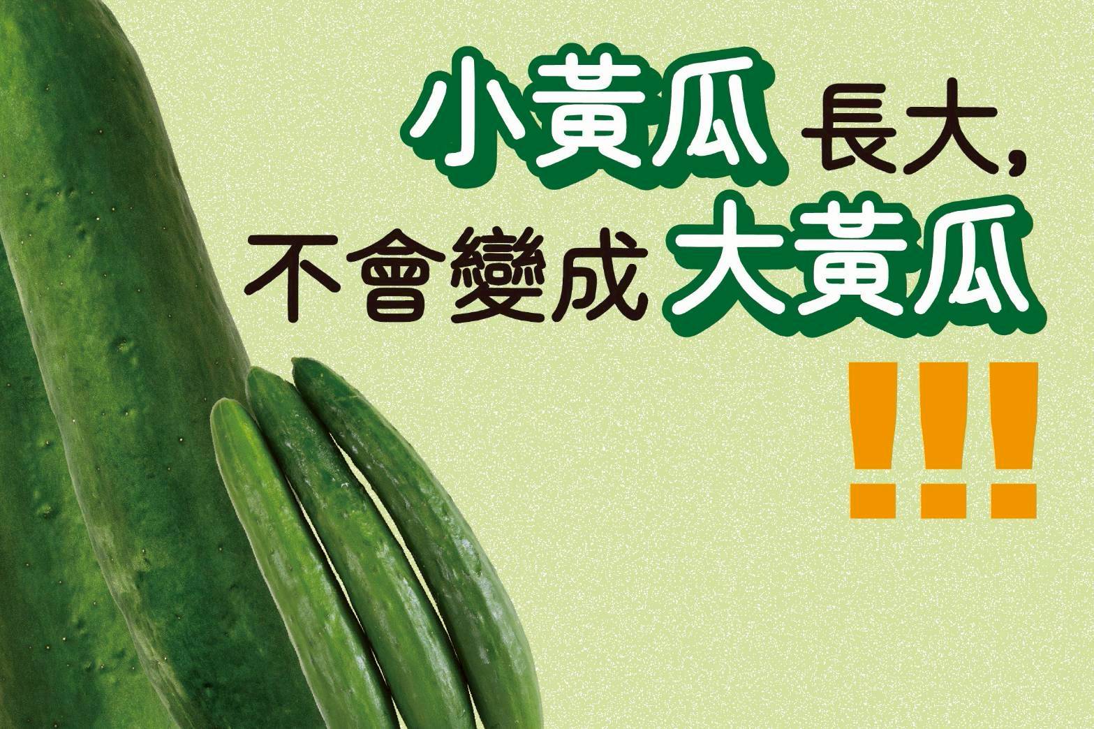小黃瓜和大黃瓜是親戚