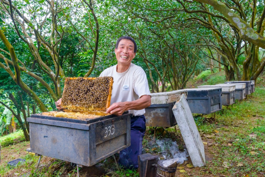 精釀讓東方蜂鷹安心過冬的蜂蜜