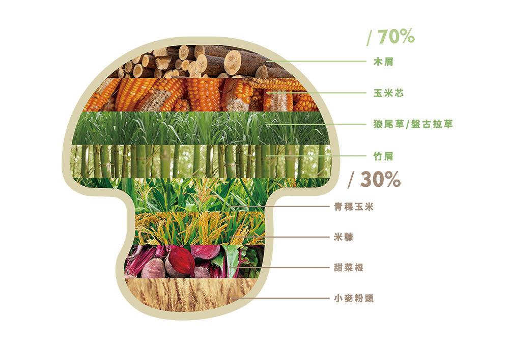 蕈菇的栽培介質盡可能採用本土農作物取代木屑，實踐永續，持續走向淨零之路。有機菇栽培介質循環再利用
