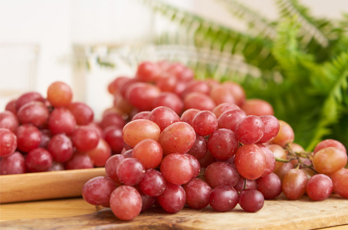 有機紅葡萄