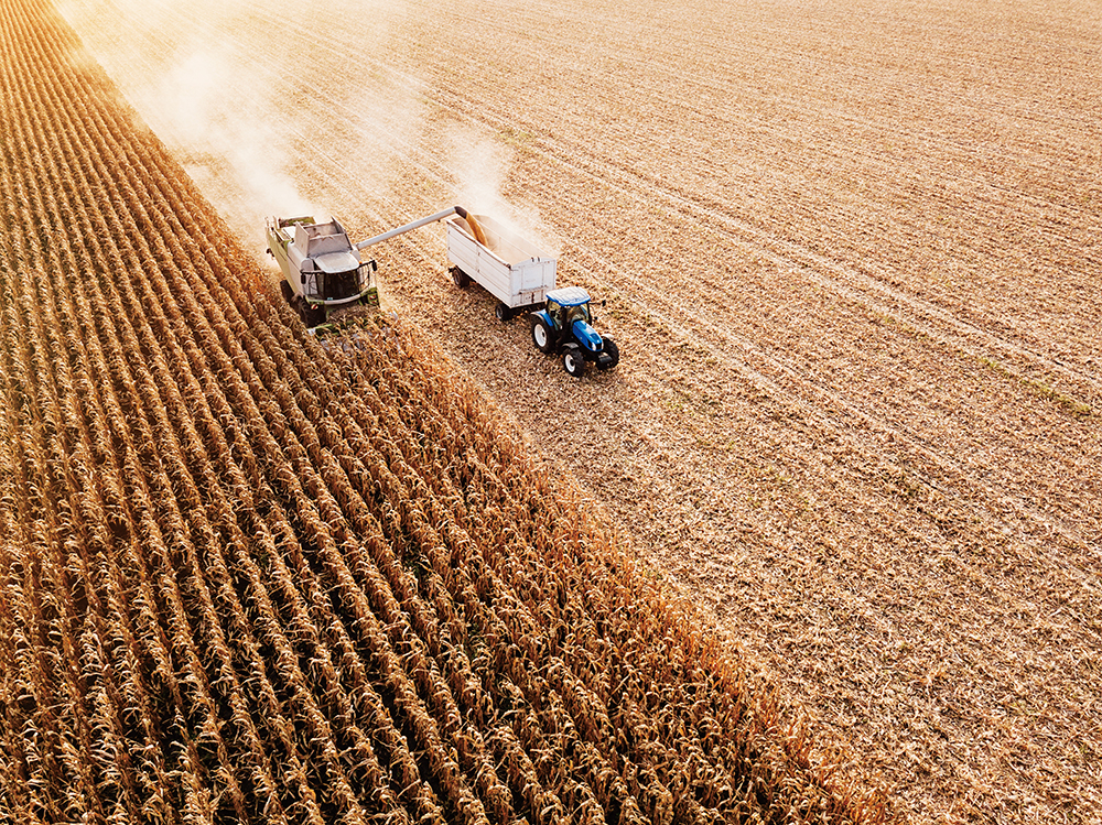 使用過量肥科的單—作物農田會降低土壤與陸地生物多樣性，而多餘養分隨水流進入河川與海洋後，易引發優養化與缺氧現象，進而破壞海洋生態系統。