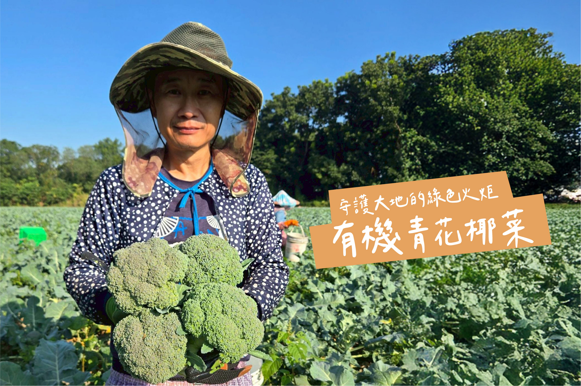 綠色火炬！有機青花椰菜