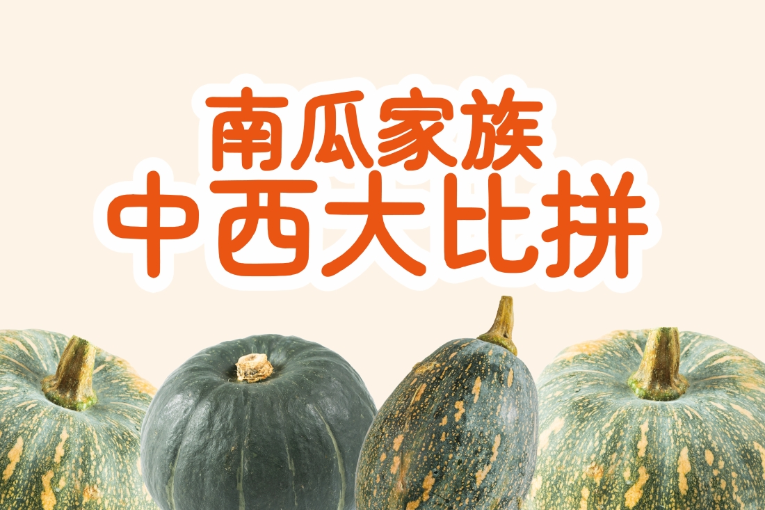 南瓜家族 長相口感多元 您喜歡哪一種? 教您分辨對味的南瓜!