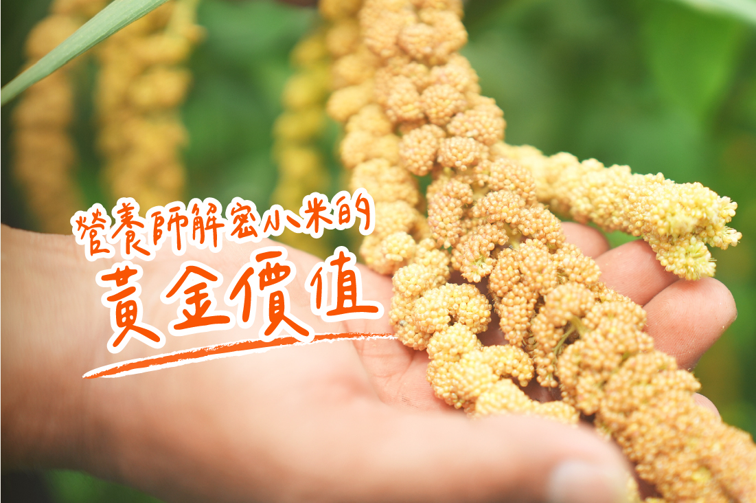 營養師解密小米的黃金價值