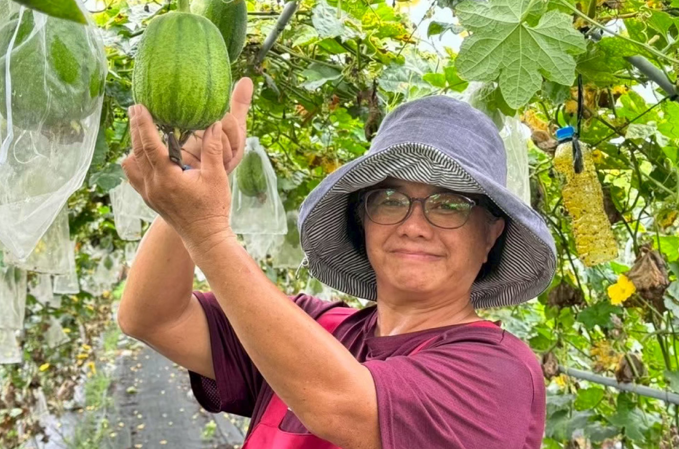 有機農友 劉淑芬