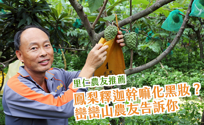 農友告訴你－鳳梨釋迦幹嘛化黑妝？