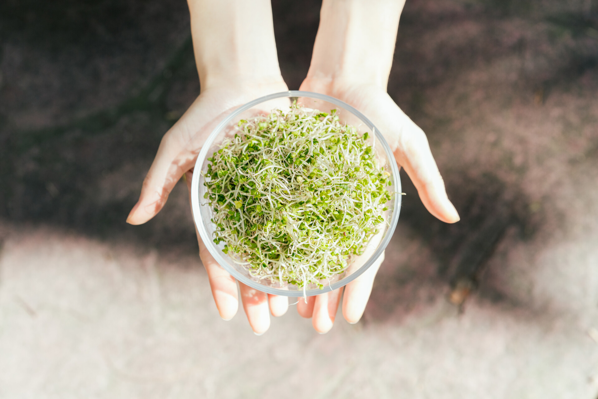 里仁 x 培仁媽媽 x 一寸鮮｜培仁媽媽面對面料理講座 feat.三日苗