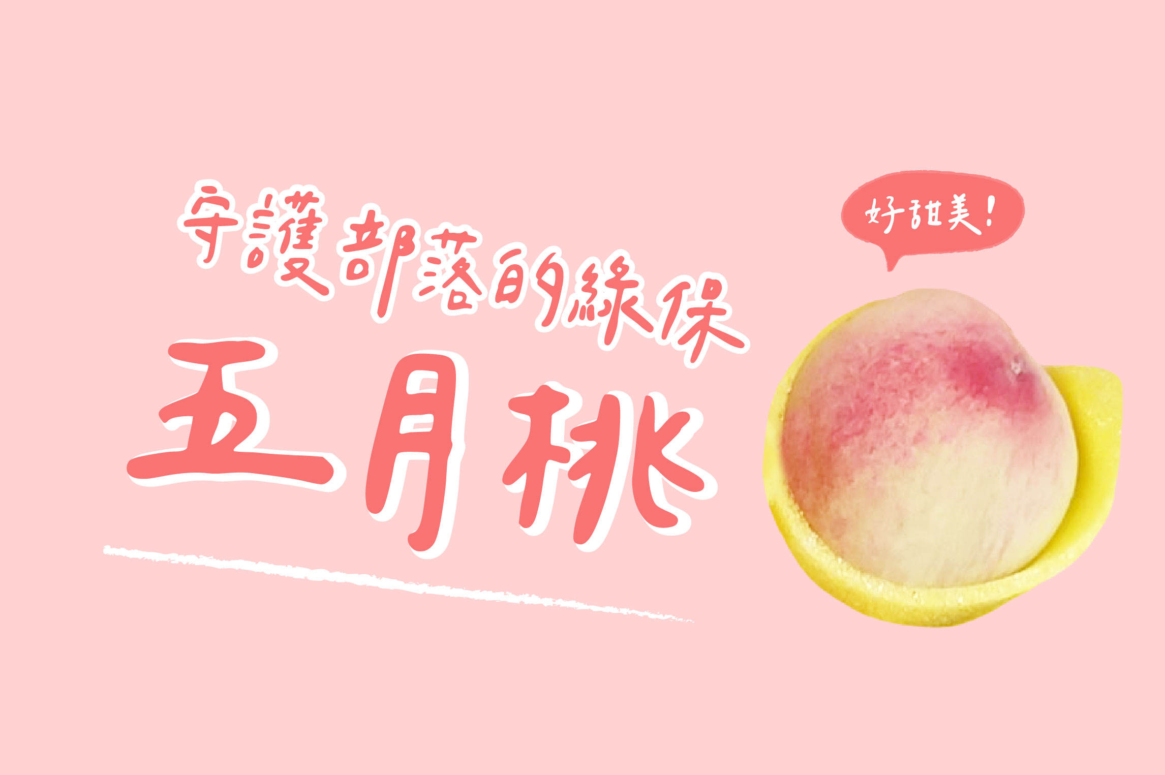 守護部落的綠保五月桃
