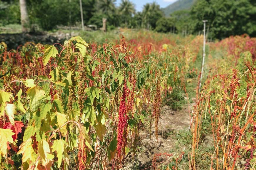 瞭解風土 感受風味 珍惜獨特的臺灣味