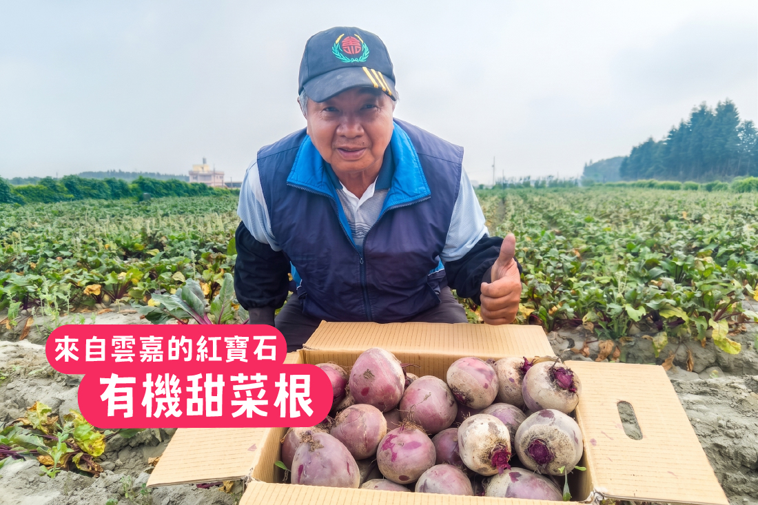 來自雲嘉的紅寶石：有機甜菜根