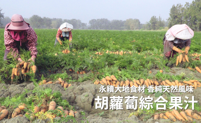 永續大地食材 純香有機胡蘿蔔汁