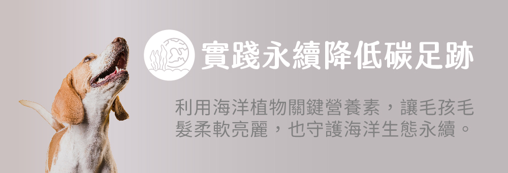 實踐永續降低碳足跡 利用海洋植物關鍵營養素,讓毛孩毛髮柔軟亮麗,也守護海 洋生態永續。