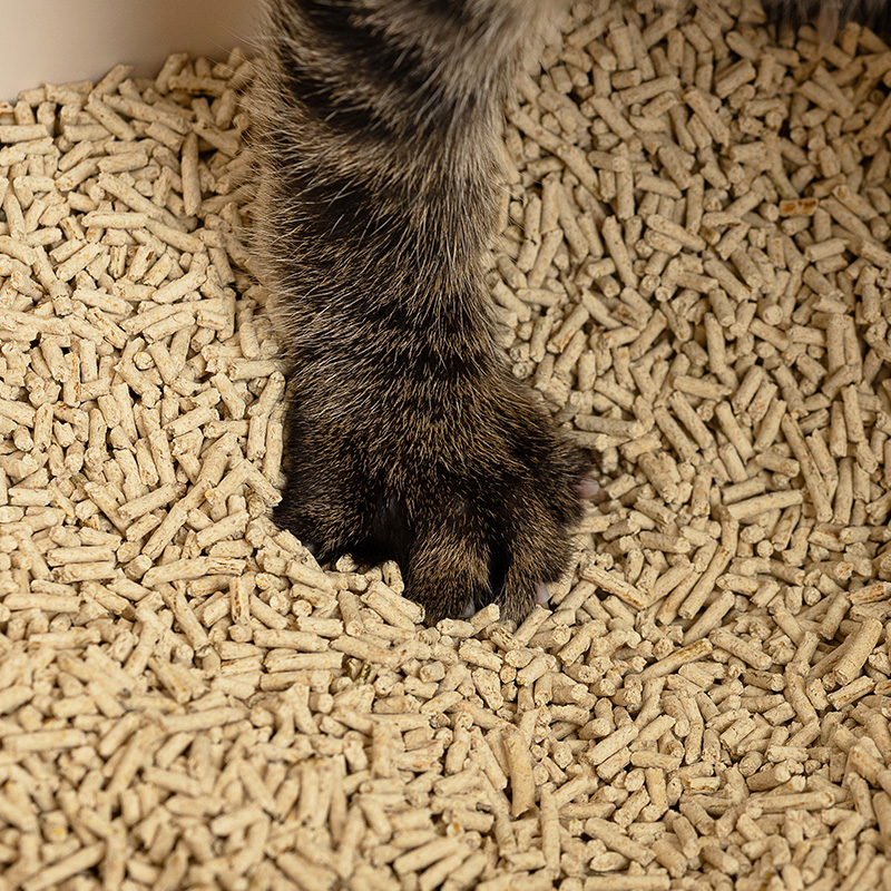 寵樂富田裡有貓砂