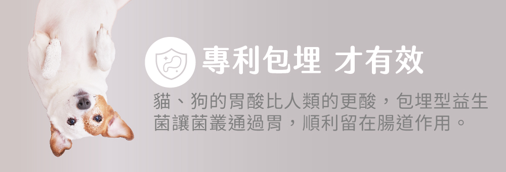 專利包埋 才有效 貓、狗的胃酸比人類的更酸,包埋型益生菌讓菌叢通過胃, 順利留在腸道作用。