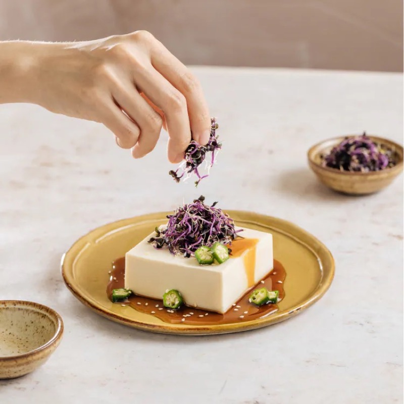 一寸鮮紫高麗苗-三日苗