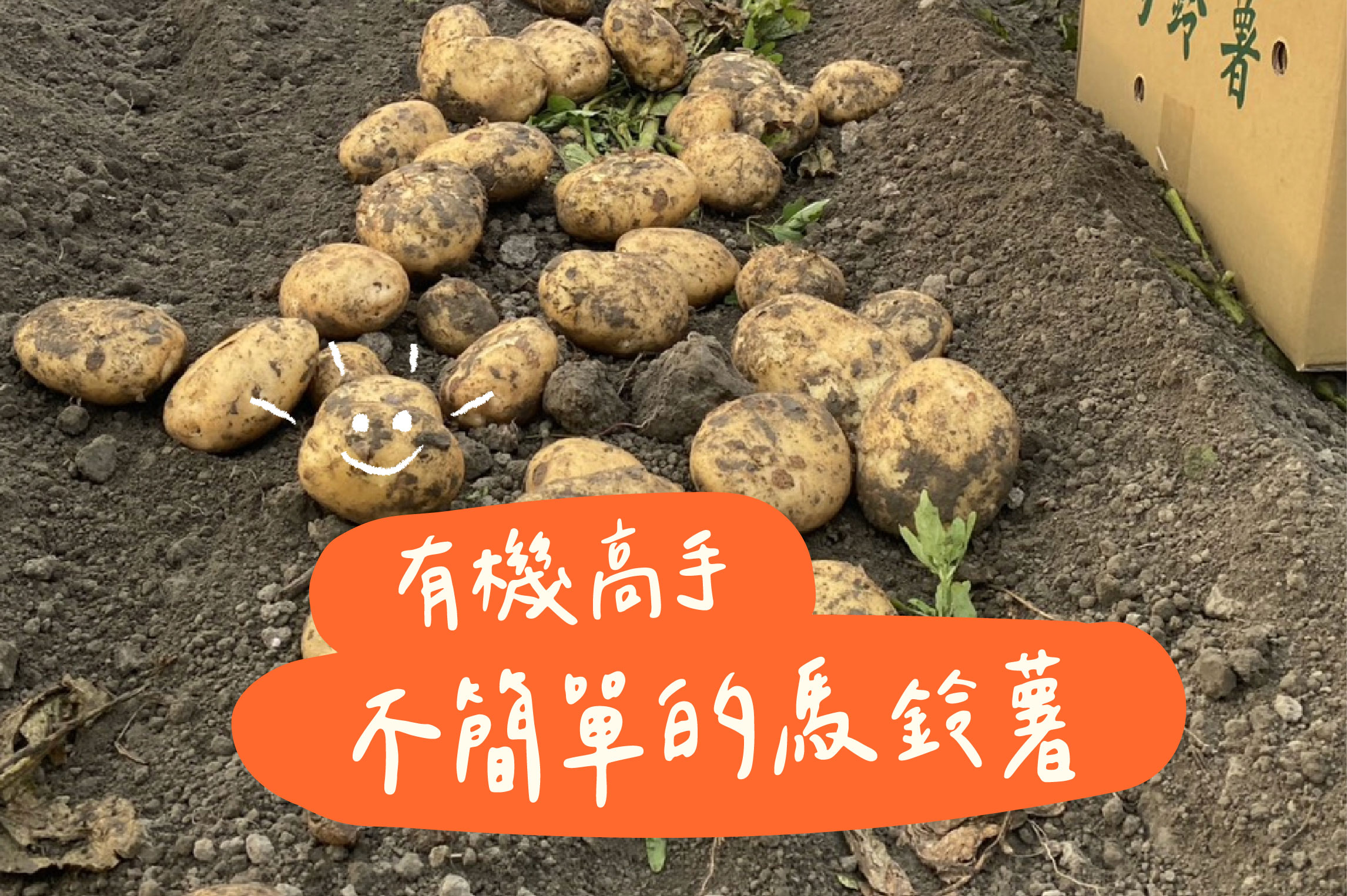 有機高手 不簡單的馬鈴薯