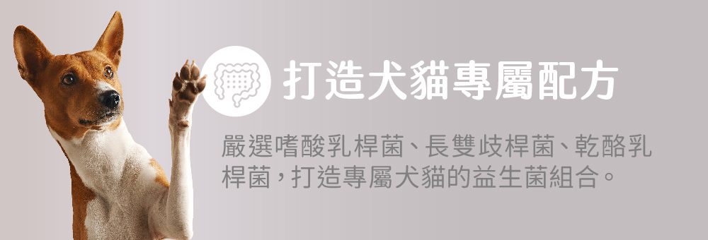 打造犬貓專屬配方 嚴選嗜酸乳桿菌、長雙歧桿菌、乾酪乳桿菌,打造專屬犬貓 的益生菌組合。