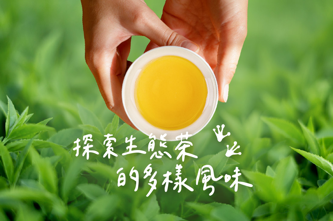 今天想喝哪一種茶?探索生態茶的多樣風味