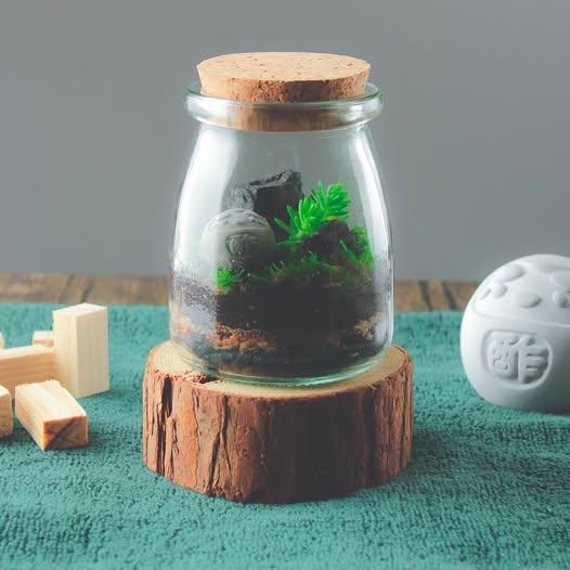 森林手作課程一|生物炭生態瓶