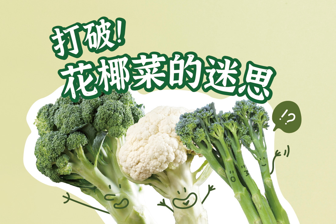 一次搞懂花椰菜的血緣關係！
