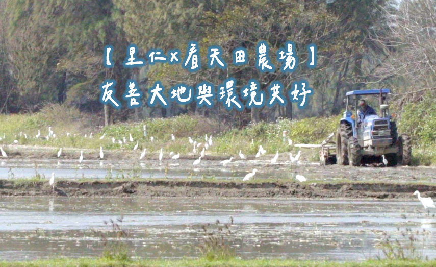 【看天田農場】友善大地與環境共好