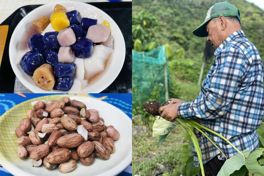 「一口蔬食好糧」總覽 綠色餐廳響應名單