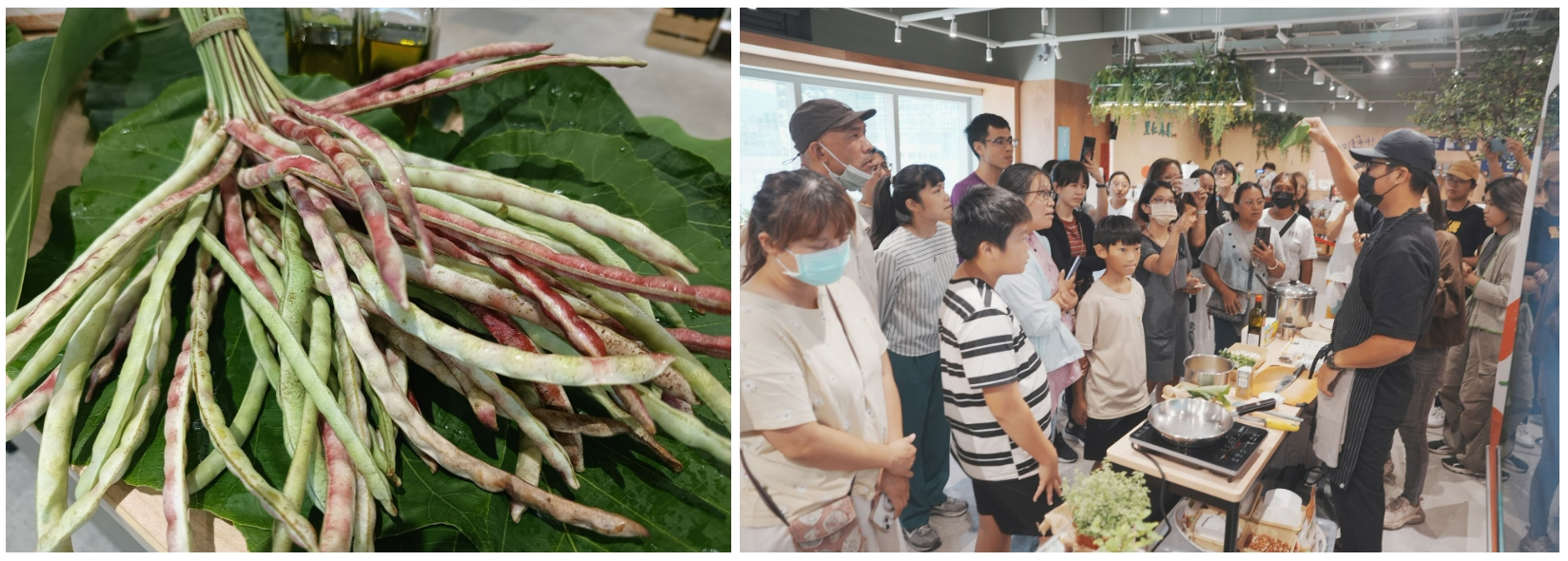 小米變身義式燉飯、墨西哥Taco,部落傳統雜糧的創意吃法!