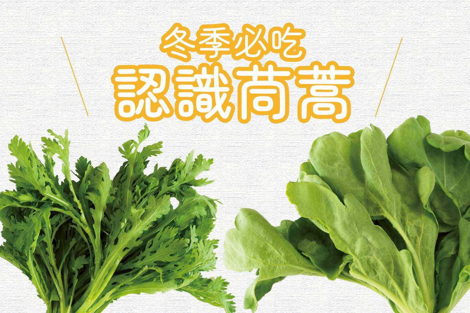 火鍋好朋友，茼萵在一起~