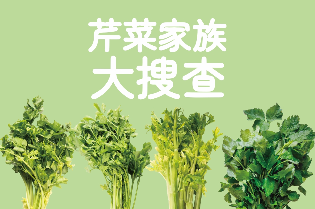 芹菜家族大搜查 煮湯熱炒兩相宜