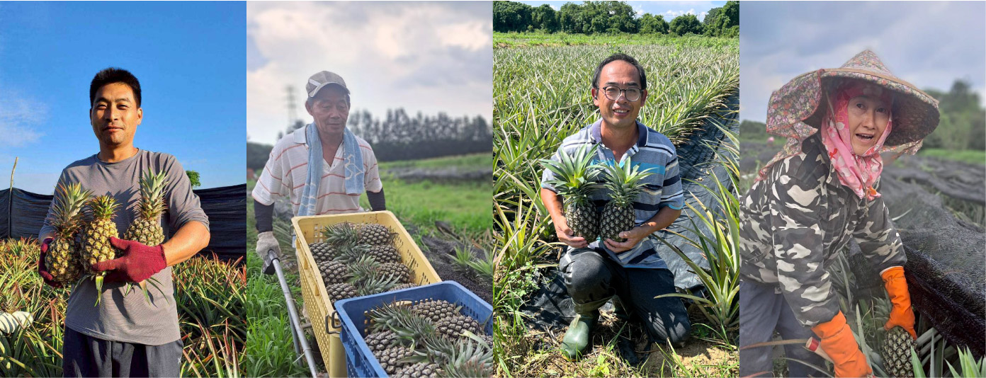 有機鳳梨農友
