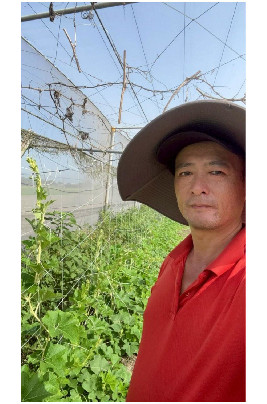 有機農友吳曉慶