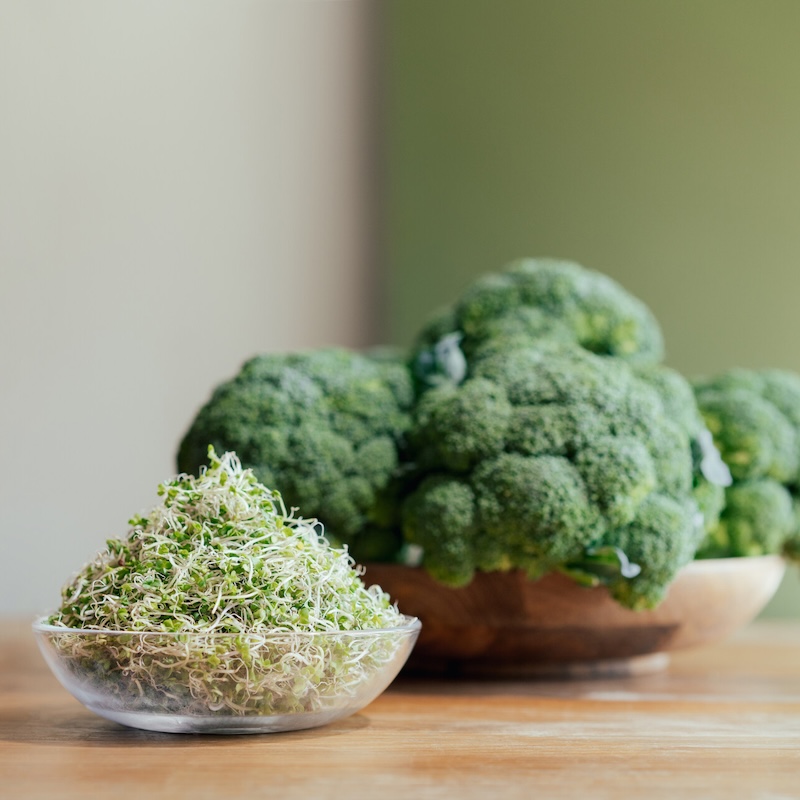 一寸鮮超級青花椰苗-三日苗