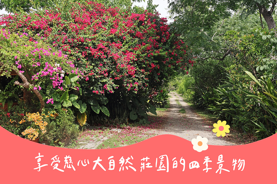 享受慈心大自然莊園的四季景物
