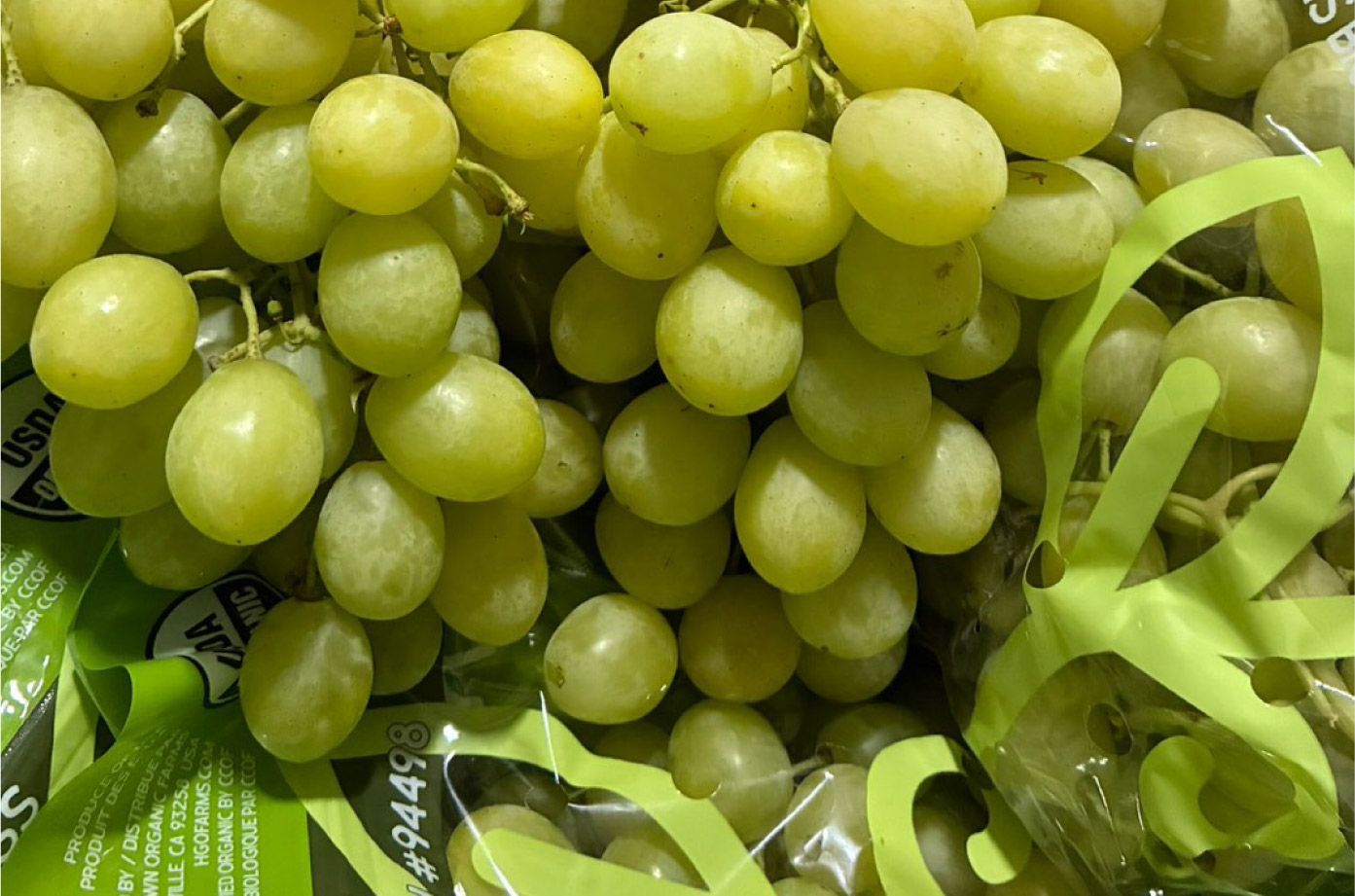 有機綠葡萄